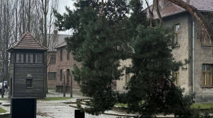 Państwowe Muzeum Auschwitz-Birkenau w Oświęcimiu